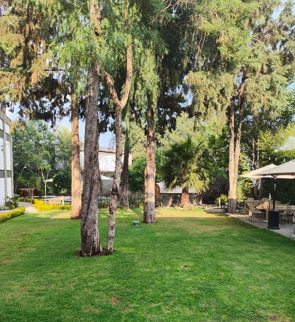 Hotel Boutique Camino Del Bosque By Rotamundos Чолула Екстериор снимка